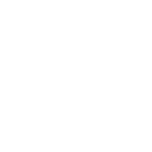 Python Icon